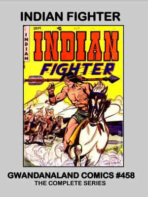 cover image of Indian Fighter